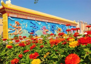 陕州地坑院|全面升级 喜迎双节