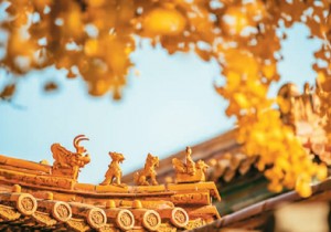 故宫博物院院长王旭东：交流互鉴铸就文化丰碑