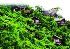 森林旅游：多业态+多功能 未来可期