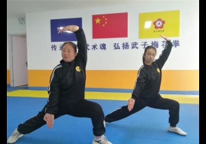 武子梅花拳：古老拳种负盛名