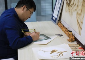 河南新乡：烙画艺人致力于烙画传承发展