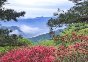 新县：文旅文创融合发展 全域旅游助推乡村振兴