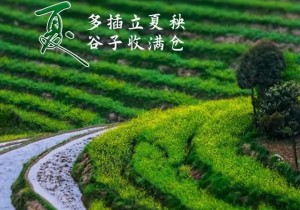 【行走河南·读懂中国】二十四节气 今日立夏