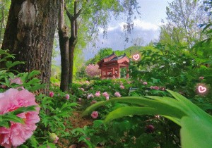 栾川：产品升级丰富来栾体验 措施得力保障旅游安全