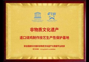 【行走河南 云购非遗】道口烧鸡：香气浓郁、肥而不腻