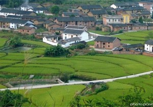 【行走河南 云购非遗】人主挂面：细如发丝、清如白玉