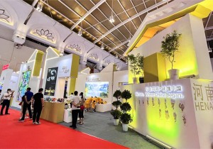 【行走河南·读懂中国】河南精彩亮相2022中国国际旅游交易会