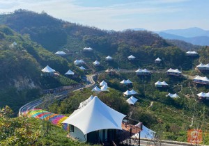 信阳:着力打造“网红打卡地”助力青年友好型城市建设