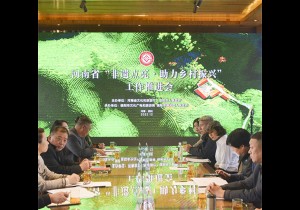 “非遗点亮·助力乡村振兴”工作推进会在信阳市浉河区召开