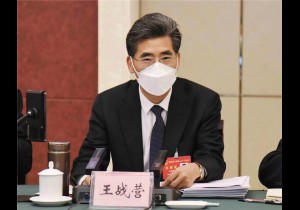 王战营参加漯河代表团审议并发言：坚定文化自信自强 深化中华文明探源研究