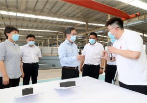 楼阳生到焦作市部分县市调研乡村振兴、文旅融合等工作