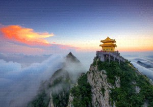 栾川好物亮相音乐节，购物娱乐嗨翻天