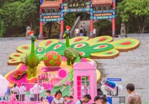 鸡冠洞：新文旅“东风”起 新项目“乘风”行