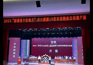 河南精彩亮相2023年“新疆是个好地方”对口援疆19省市非物质文化遗产展