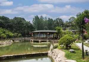 全国乡村旅游精品线路发布 河南这五条上榜