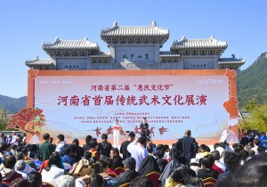 河南省第二届“惠民文化节”——河南省首届传统武术文化展演活动在登封举行