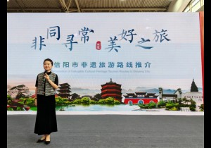 信阳非遗亮相北京国际非遗周
