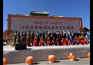 汪家拳参加首届河南省传统武术文化展演
