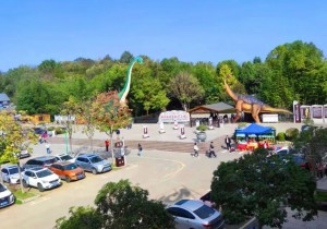 带娃一起“飞”，来西峡恐龙园开启欢乐时光之旅