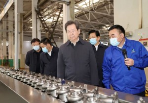 楼阳生到南阳市调研时指出：把山水、文旅、康养融合起来