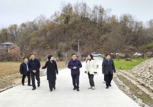 河南省文化和旅游厅党组成员、副厅长王飞到嵩县天桥沟村调研乡村振兴定点帮扶工作