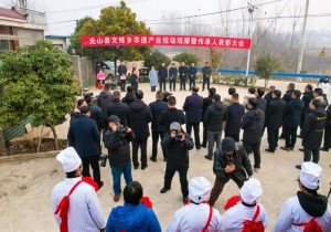光山县文殊乡非遗产业助力乡村产业振兴