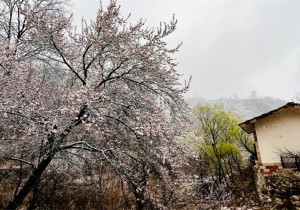 春暖花开，一起到太行大峡谷来踏青