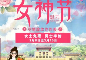狂欢派对!陕州地坑院女神节钜惠宠粉福利精彩来袭