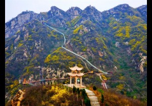 女神节浪漫预告：七峰山邀你踏青赏花“上春山”！
