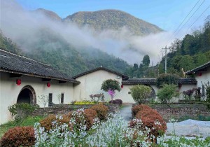 赏花踏青正当春