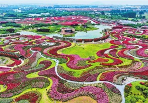 河南省“五一”假期文化旅游市场综述