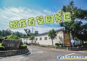 百草之乡！康养福地！走近舞钢姬庄村百草园景区