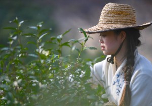 央媒观豫｜河南信阳大别山：老山寻新记