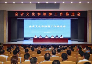 河南省文化和旅游工作推进会召开