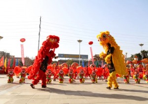 漯河市2025年民间艺术展演成功举办