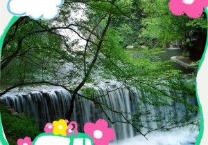 三月上春山，来鸡公山体验一场别样的旅行！
