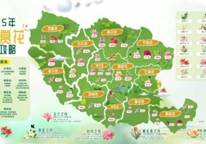 南阳市春季赏花地图发布，欢迎来打卡！