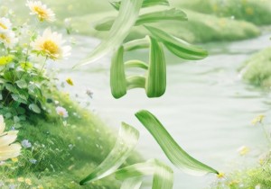 鸡公山的春分：一半明媚，一半安然