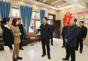 刘宁王凯到巩义市调研文化遗产保护等工作
