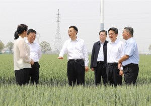 刘宁到焦作市调研文旅融合等工作