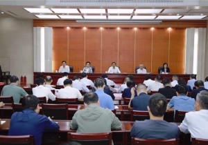 省文化和旅游厅召开深入学习贯彻习近平总书记考察河南重要讲话精神推进会