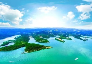 多彩端午,乐在其“粽”——2025丹江大观苑端午文化节来啦!