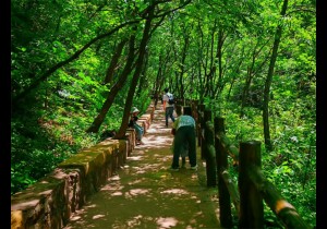 九峰山夏日浪漫之旅：戏水泛舟，登高揽胜