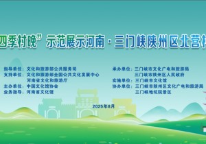 2025全国“夏季村晚”主会场陕州地坑院璀璨启幕！