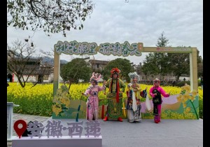 热衷中国乡村游，“老外”在追什么？