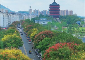 信阳：一城斑斓待客来