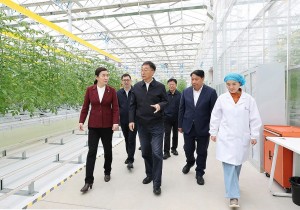刘宁到信阳市调研红色文化保护传承利用等工作