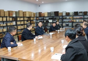 刘宁到开封宣讲全会精神并调研