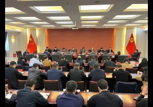 河南全面总结参加第十四届中国艺术节工作