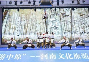 “跟着功夫游中原”河南文化旅游（云南）推广活动在昆明上演